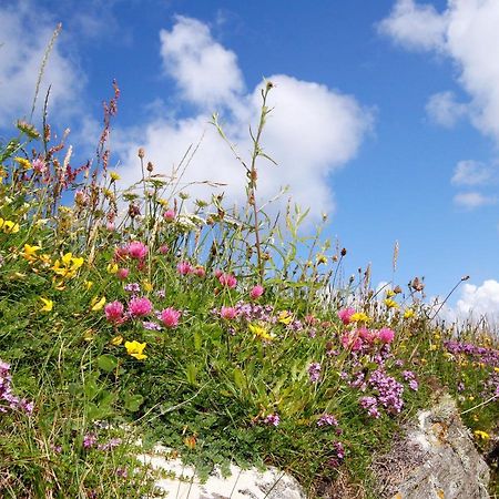 Meadow Cottage Belmullet Exterior photo